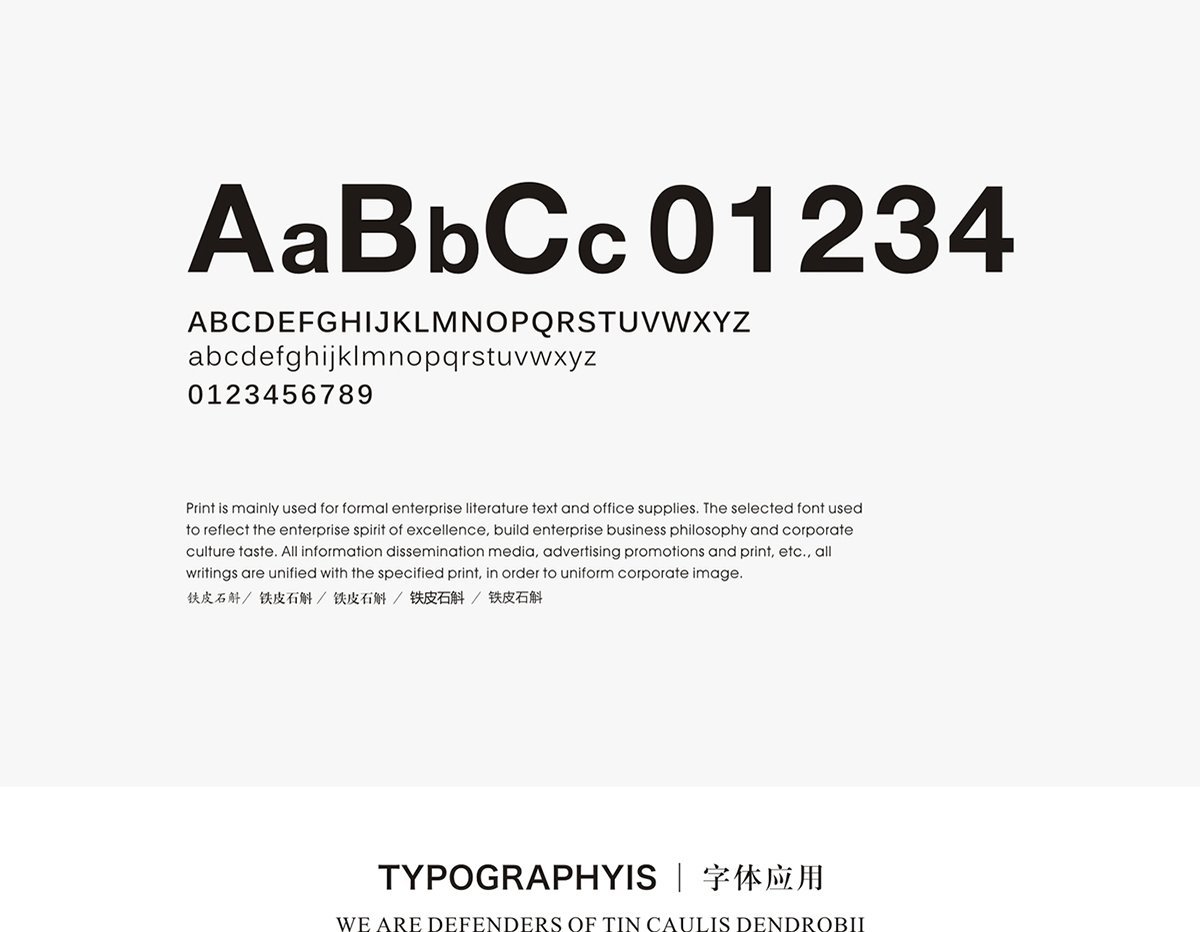 深圳VI設(shè)計  深圳VI策劃  鐵皮石斛VI形象設(shè)計展示  文字設(shè)計