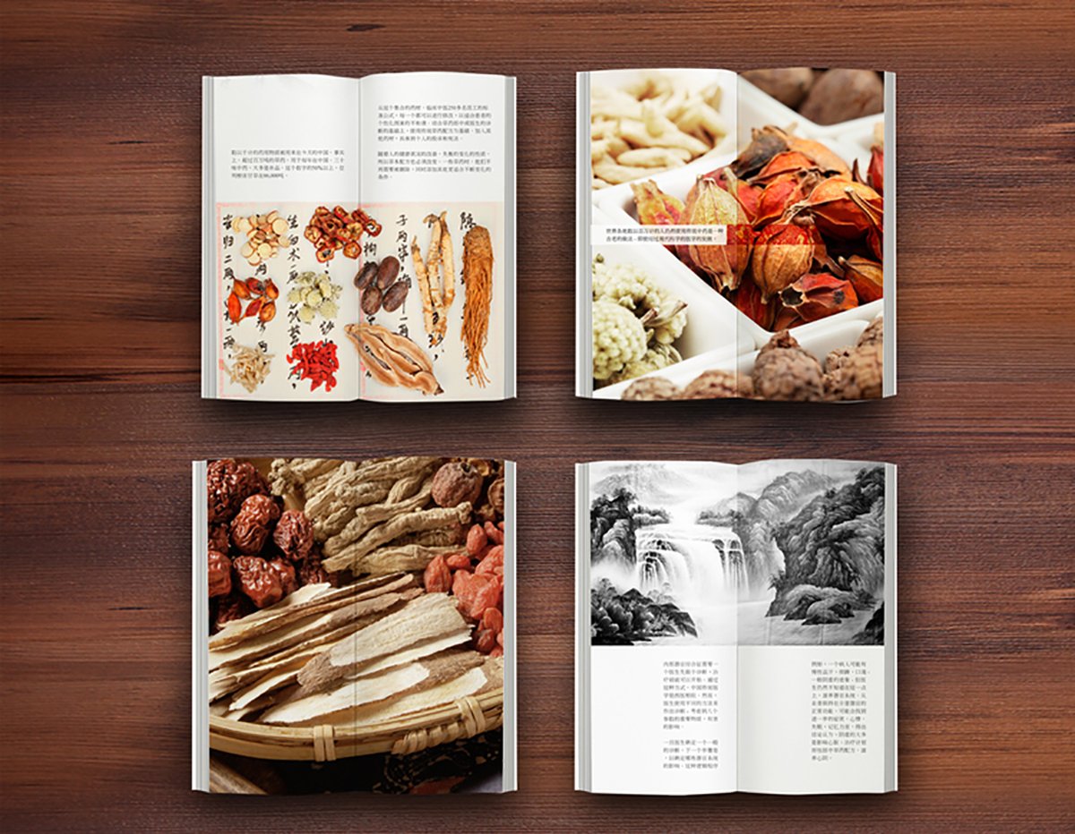 品牌設(shè)計(jì)、標(biāo)志設(shè)計(jì)、品牌形象設(shè)計(jì)、包裝設(shè)計(jì)、畫(huà)冊(cè)設(shè)計(jì)