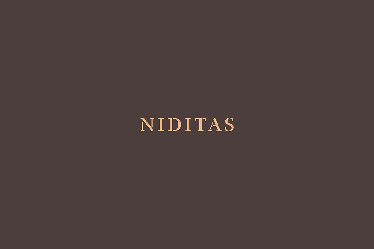 NIDITAS優秀馬術酒店vi品牌設計欣賞，vi設計，品牌vi設計，馬術酒店vi設計，酒店vi設計，酒店品牌vi，深圳vi設計，左右格局