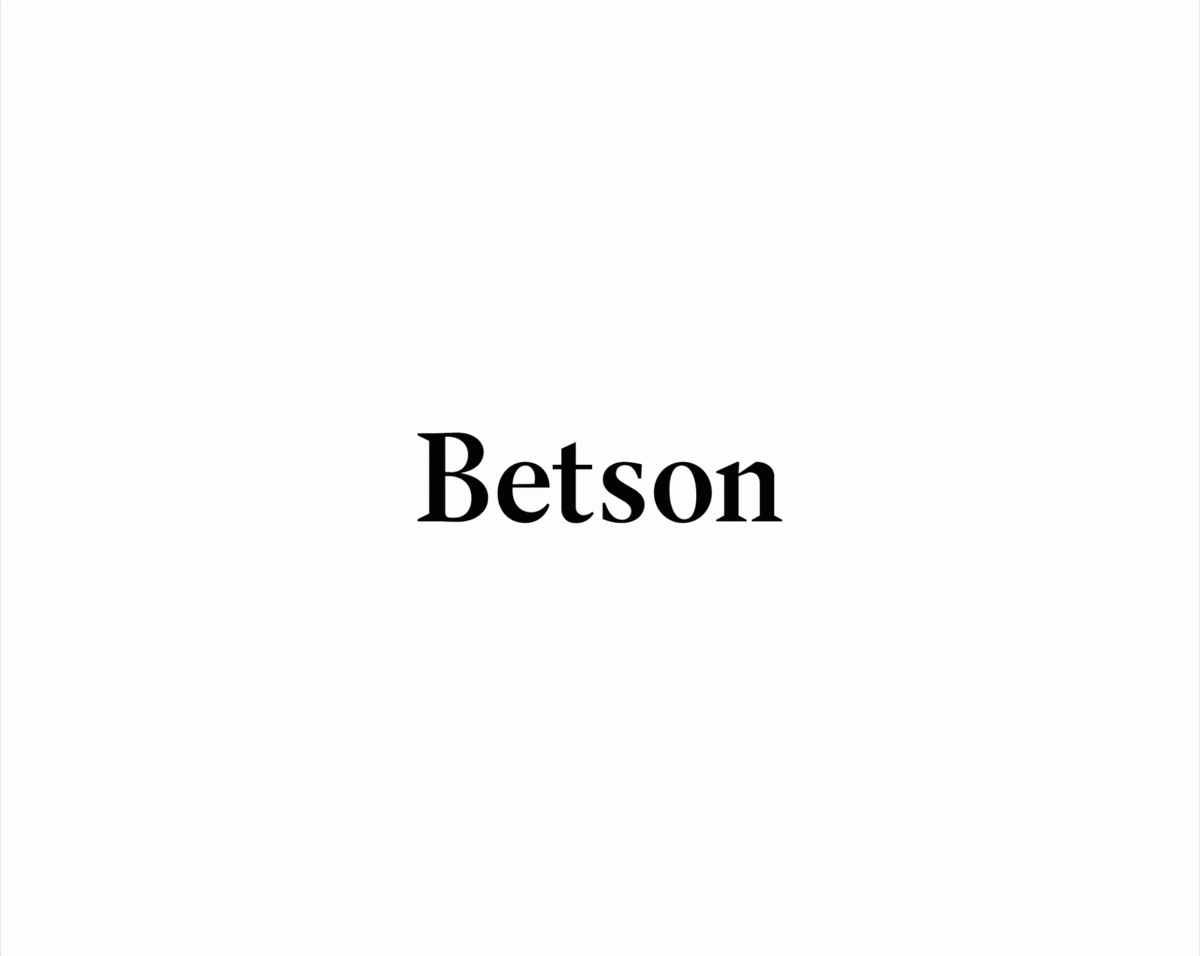 Betson男士配飾企業(yè)品牌vi設(shè)計和品牌包裝形象設(shè)計案例，vi設(shè)計，企業(yè)形象vi設(shè)計，企業(yè)品牌vi設(shè)計，配飾vi設(shè)計，品牌視覺形象設(shè)計，企業(yè)vi設(shè)計，深圳品牌策劃，深圳vi設(shè)計，左右格局
