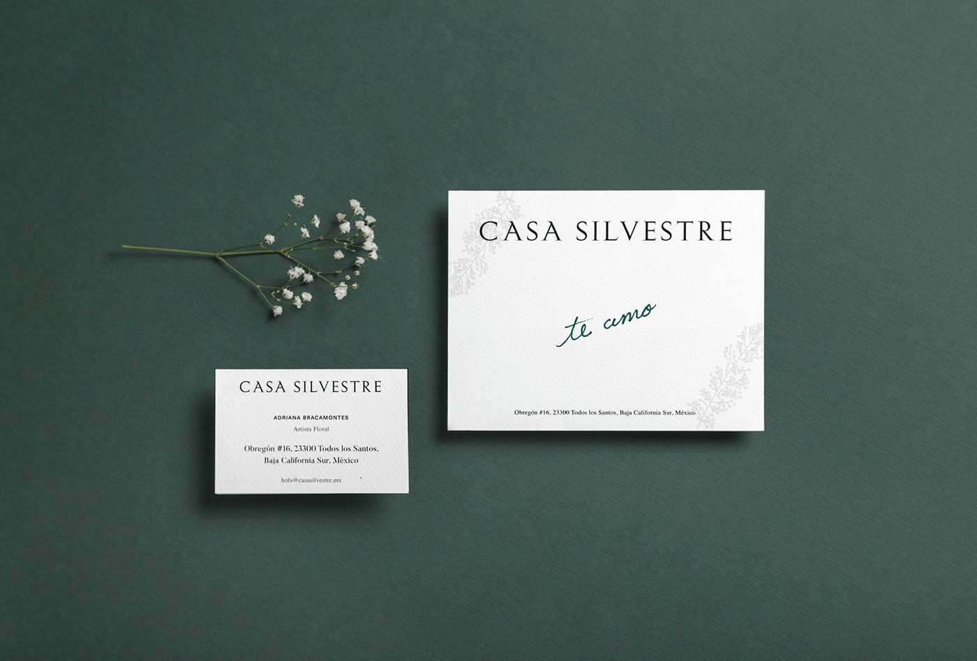 Casa Silvestre浪漫花店品牌logo設(shè)計(jì)與VI視覺設(shè)計(jì)，酒店VI設(shè)計(jì)，品牌視覺設(shè)計(jì)，企業(yè)VI設(shè)計(jì)，深圳VI設(shè)計(jì)，左右格局