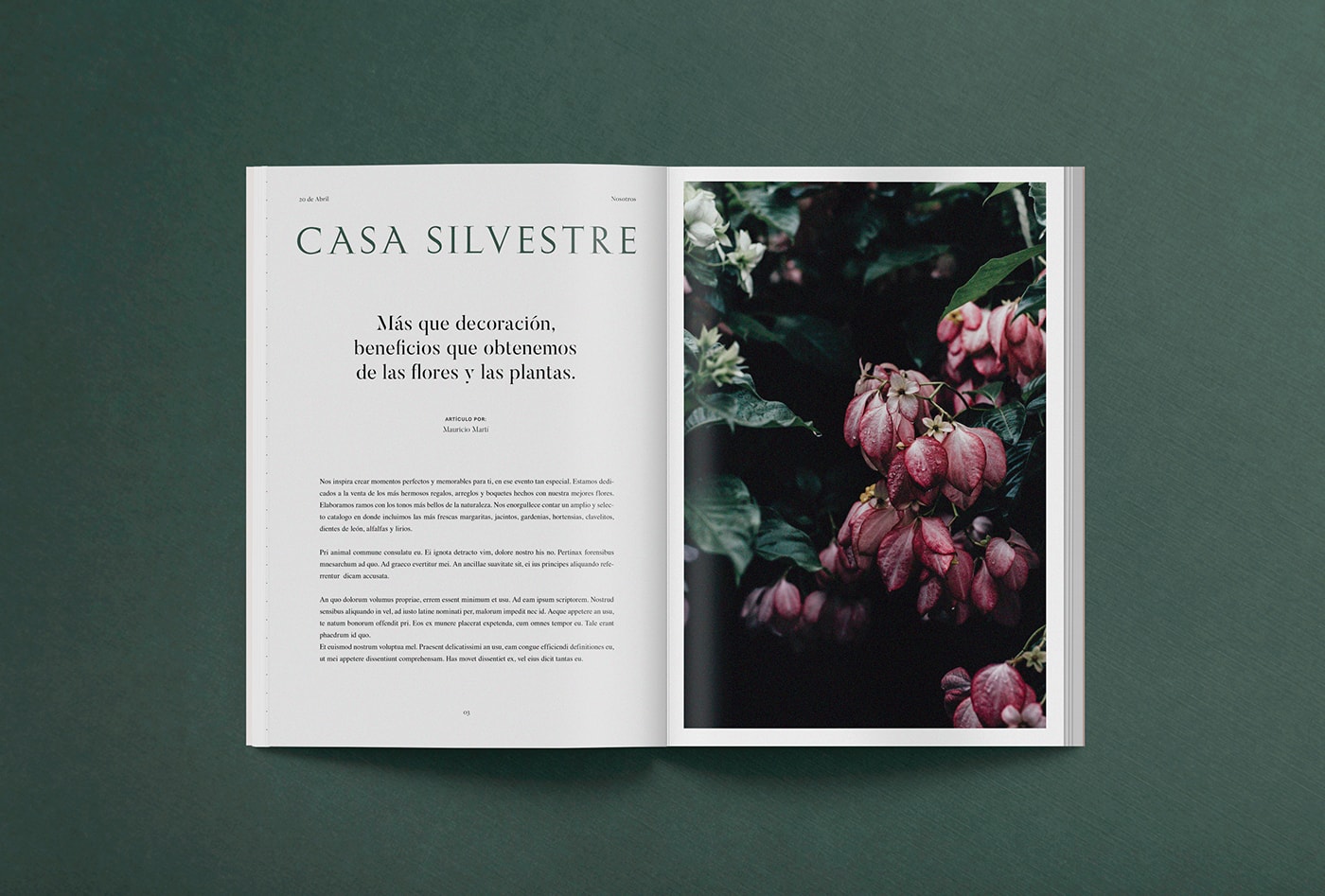 Casa Silvestre浪漫花店品牌logo設(shè)計(jì)與VI視覺設(shè)計(jì)，酒店VI設(shè)計(jì)，品牌視覺設(shè)計(jì)，企業(yè)VI設(shè)計(jì)，深圳VI設(shè)計(jì)，左右格局