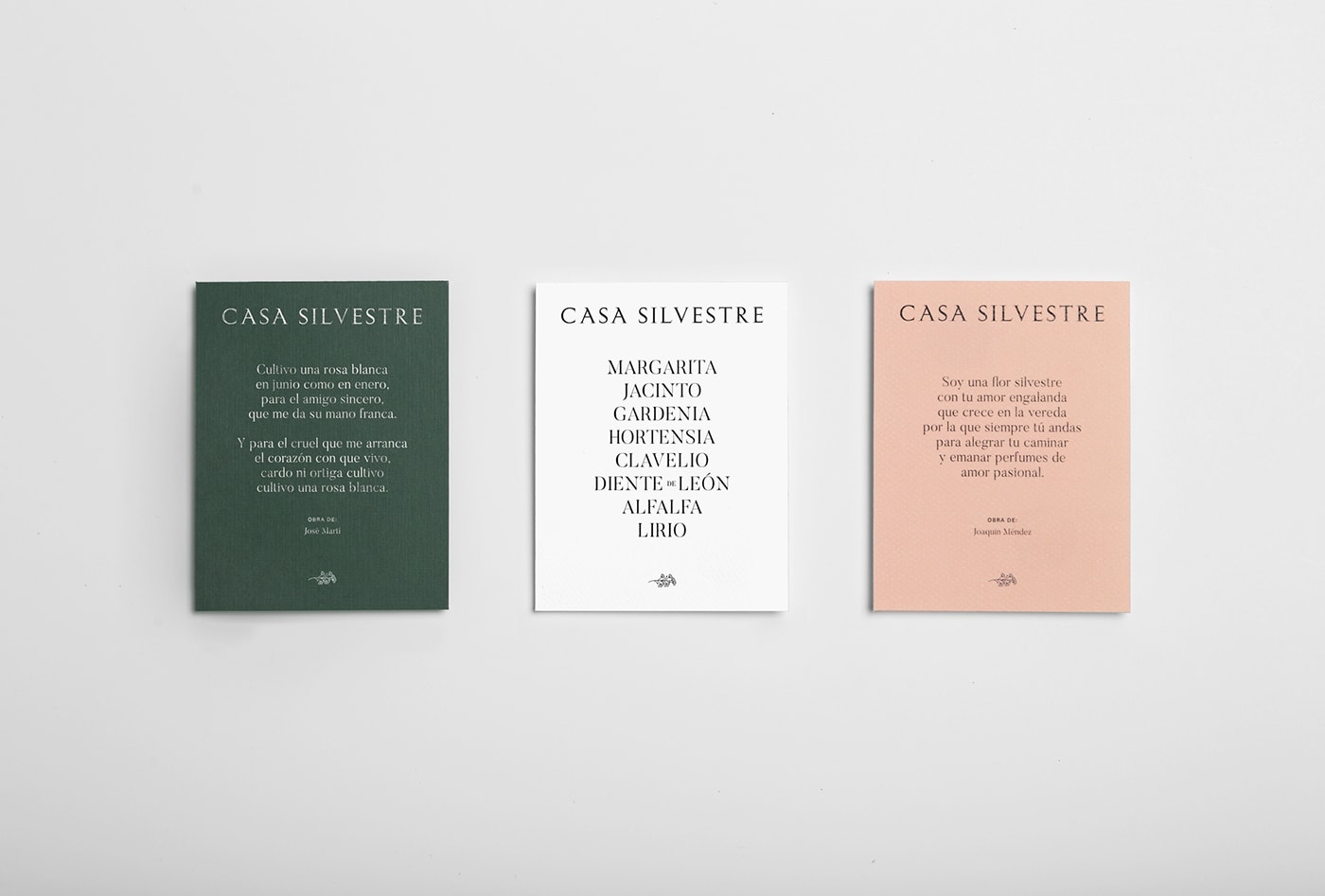 Casa Silvestre浪漫花店品牌logo設(shè)計(jì)與VI視覺設(shè)計(jì)，酒店VI設(shè)計(jì)，品牌視覺設(shè)計(jì)，企業(yè)VI設(shè)計(jì)，深圳VI設(shè)計(jì)，左右格局