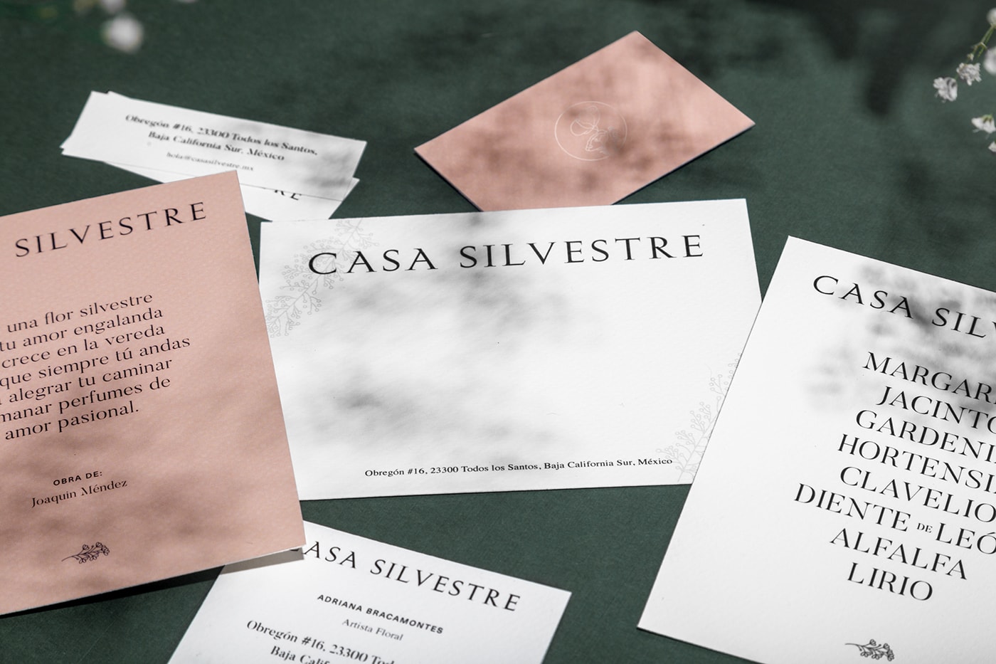 Casa Silvestre浪漫花店品牌logo設(shè)計(jì)與VI視覺設(shè)計(jì)，酒店VI設(shè)計(jì)，品牌視覺設(shè)計(jì)，企業(yè)VI設(shè)計(jì)，深圳VI設(shè)計(jì)，左右格局