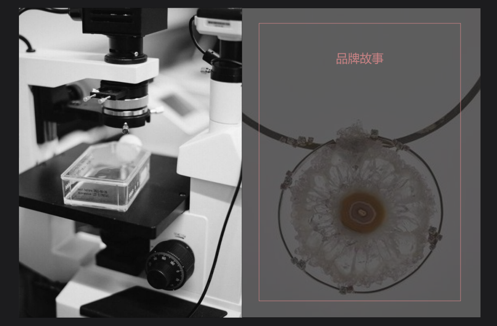 Vsense，從0到1的時尚品牌孵化